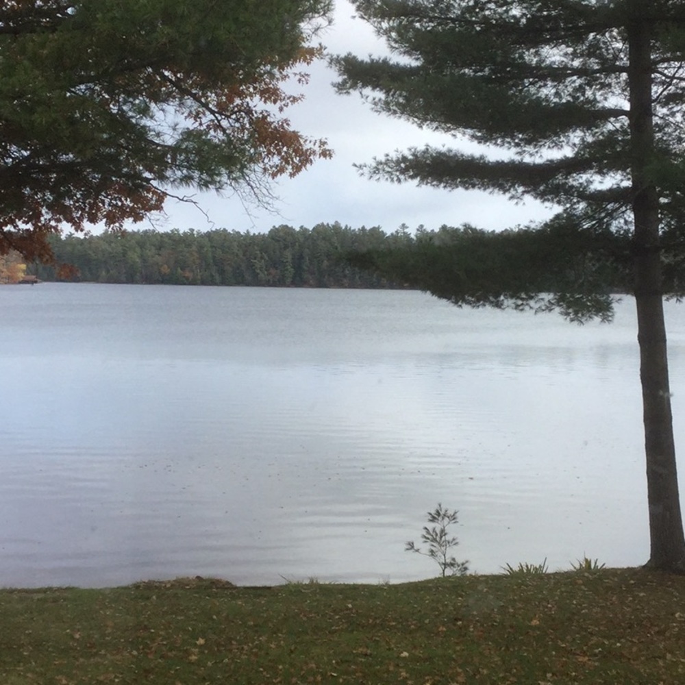 Meet your Posher, Patrice